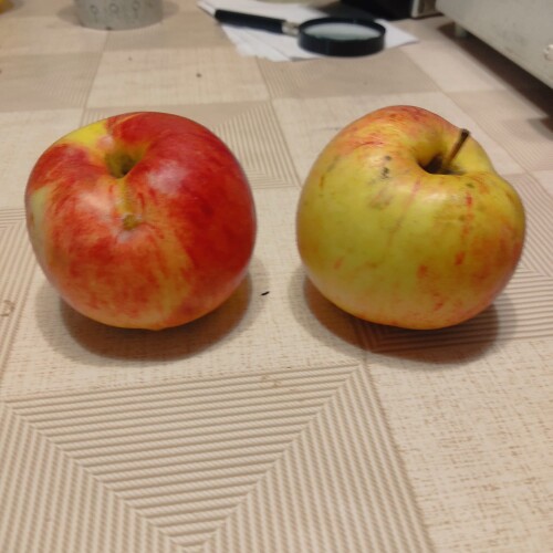 IMG-20240102-WA0005b7cdfbd6ff9c2e11.jpg