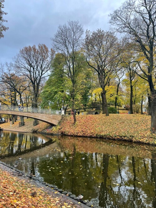 рига 26.10.22 3