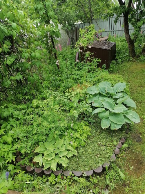 IMG 20240603 125529