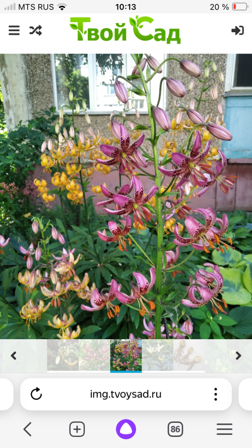 IMG_62724fa48ce0f279c2aa.png