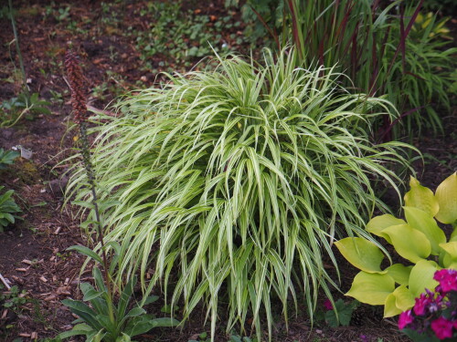 P7040036cec8642cc16d7a63.jpg