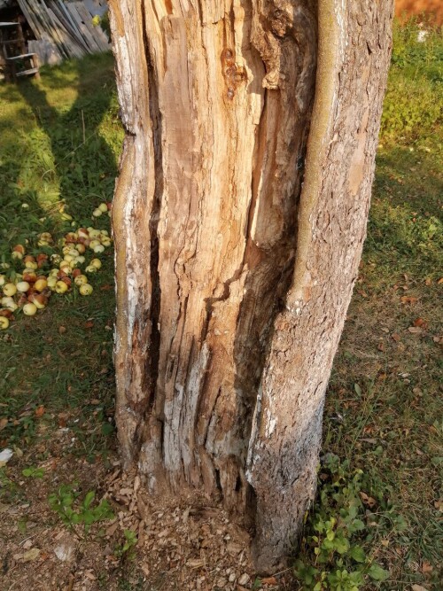 photo 4 2024 09 09 15 54 53