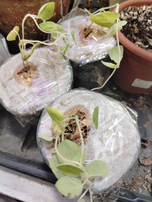 photo 2024 09 19 21 35 17