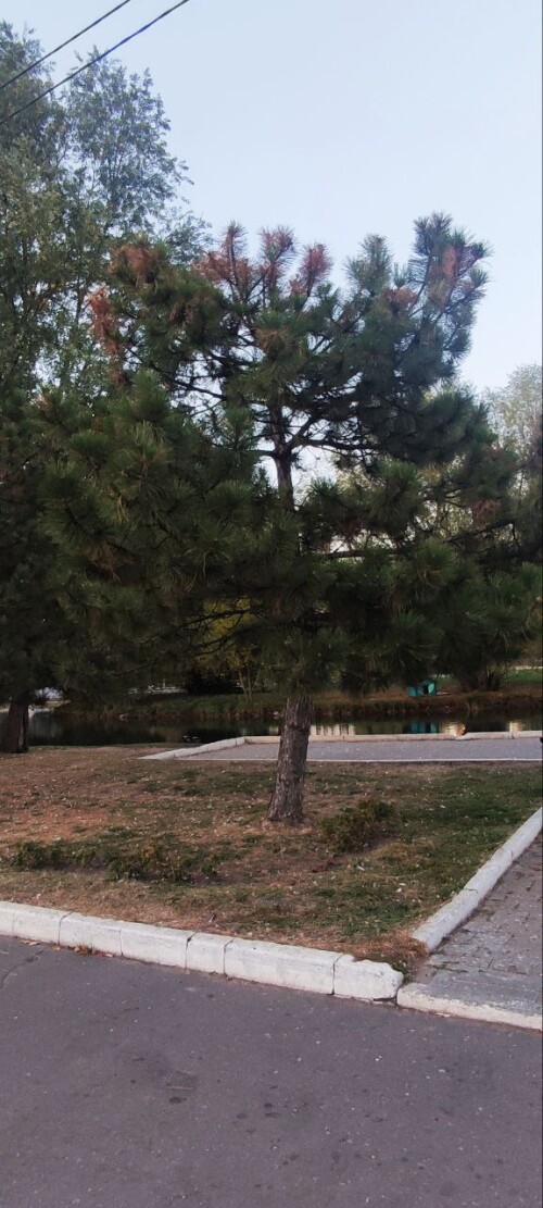 photo 6 2024 09 25 22 16 29