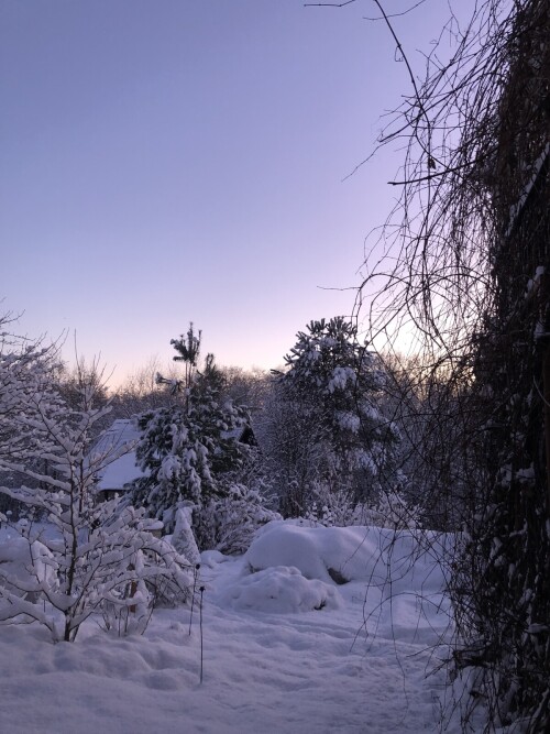 IMG_50835032bb1bf669833f.jpg
