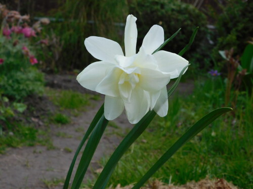 DSCN4616
