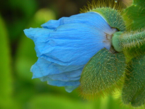 DSCN65046