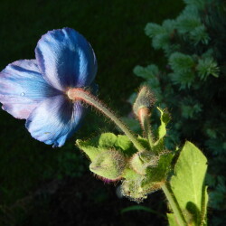 DSCN96989a9416d472408ca8