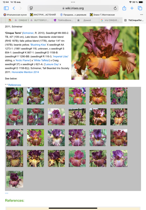 IMG_08997d95972743e46244.png