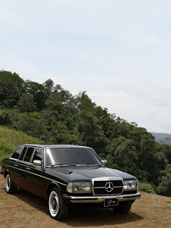 CARTAGO-MOUNTAIN-FOREST.-COSTA-RICA-300D-W123-LIMOUSINE9978d058854d6b35.jpg