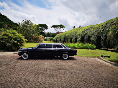 GREEN-GARDEN-AND-MERCEDES-LIMOUSINE.-LOS-SUENOS-COSTA-RICA4067ef2b3f77ca8d.jpg