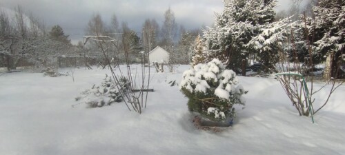 IMG 20250219 WA0024
