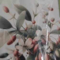 IMG-20250226-WA0005--KOPIY4f444d1e7a4669e8