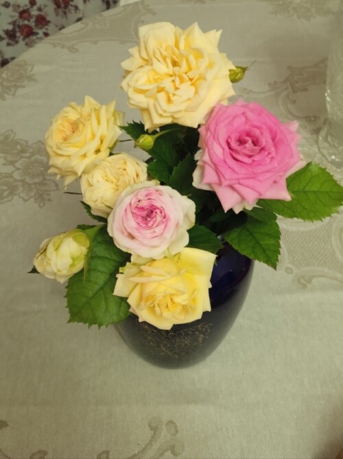 21 march cut roses