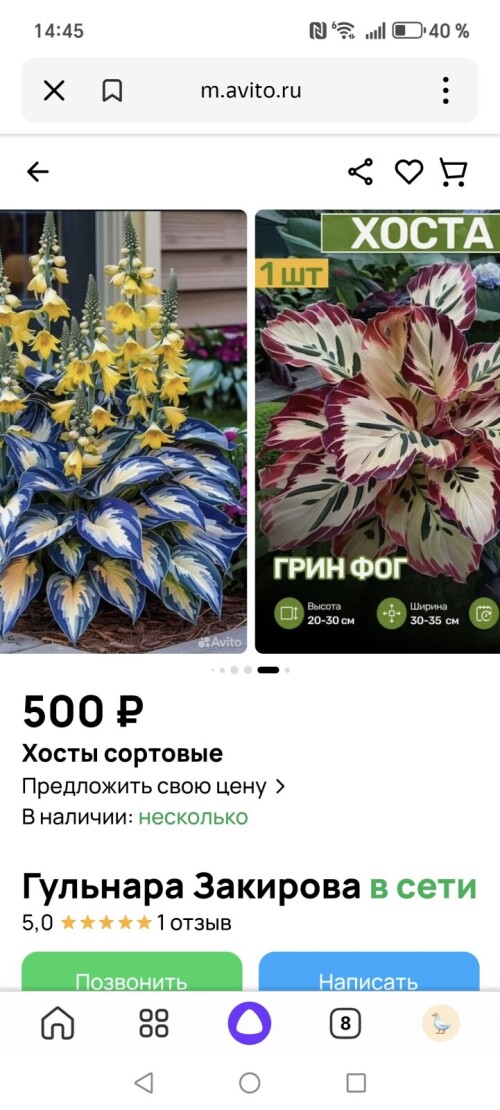 1000043926
