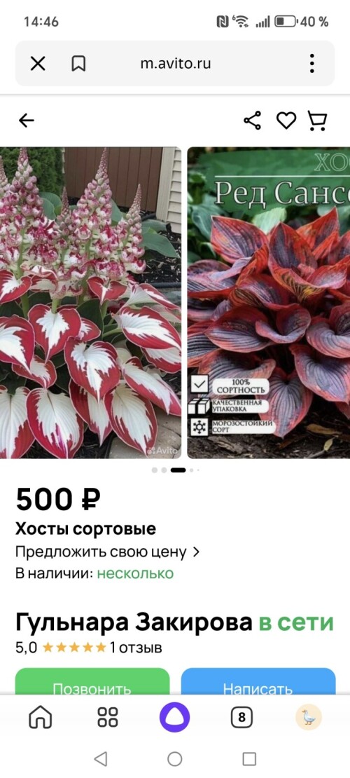 1000043928