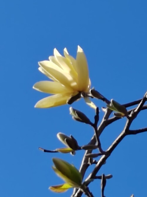 IMG 20250426 WA0028