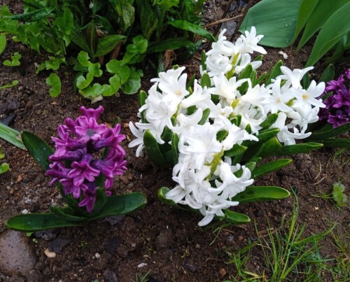 1-may-460cb9f0f9f944d4d.jpg