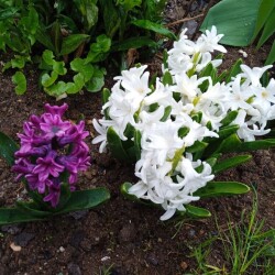 1-may-460cb9f0f9f944d4d