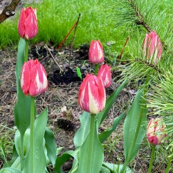 IMG_8316c854af9a9afc01cb