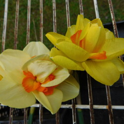 DSCN894953af1708120d1167
