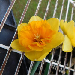 DSCN895244ca436163d4d57a