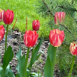 IMG_83312f857f8584a37962