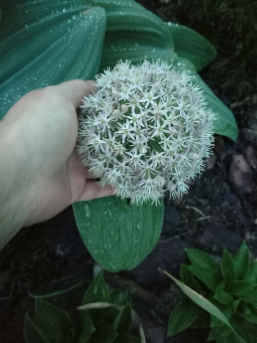 photo 2025 05 14 14 54 11