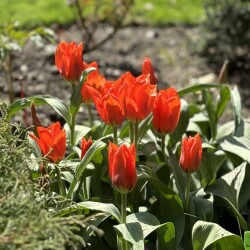 IMG_835117994c18c92b92ab