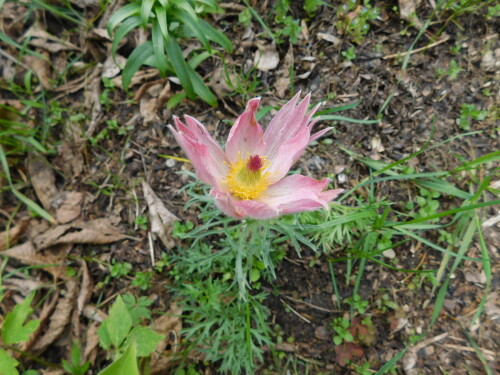 DSCN9272