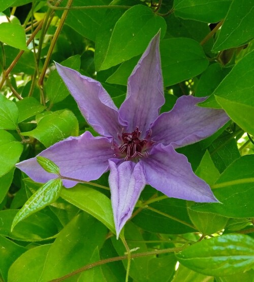 deep blue #6