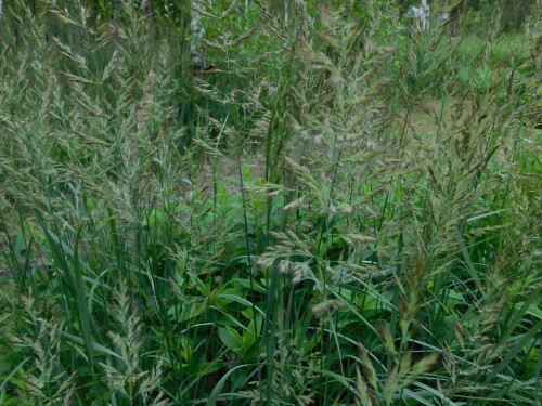 DSCN0990