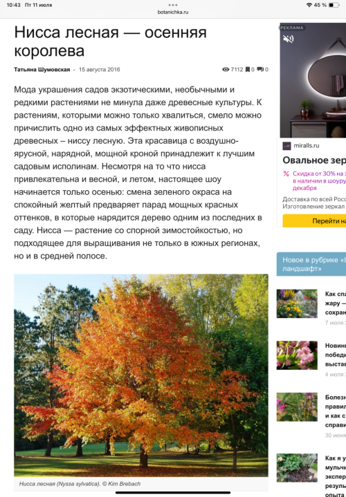 IMG_1267748d8bd5a9878e5b.png