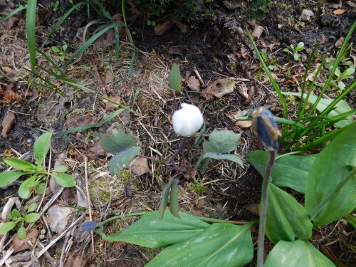 DSCN8858194eeaf83be4ebc1.jpg