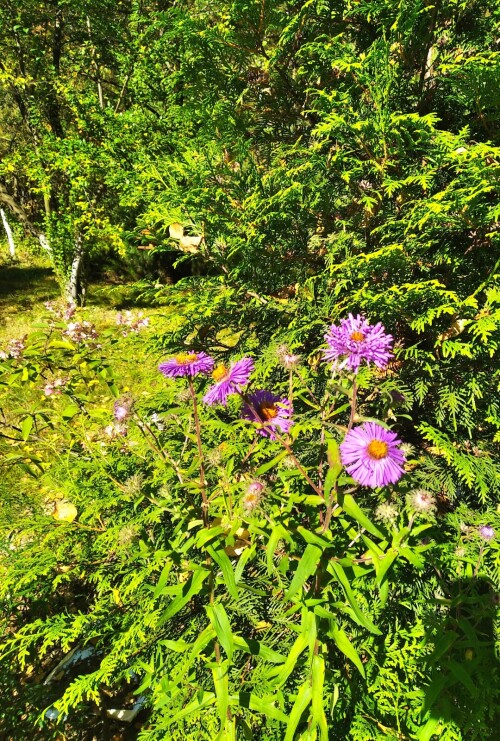 IMG 20231009 230643