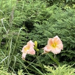 IMG_00146ad075ba3cc1fb9d