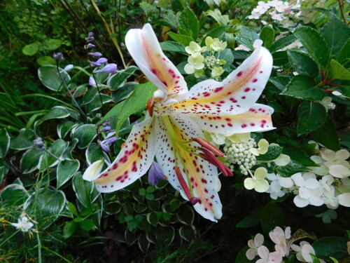DSCN1245
