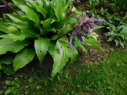 DSCN13747039f17713807e3f.jpg