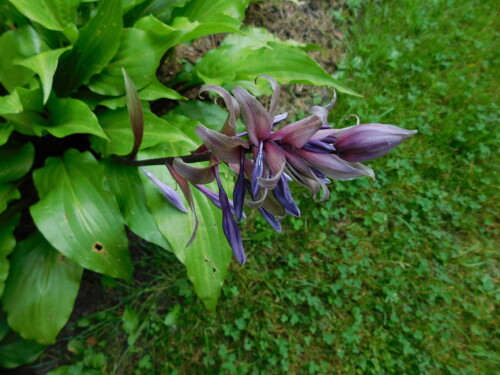 DSCN1375b6179385262014e0.jpg