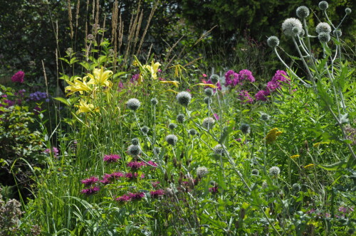 DSC_0878ee5d0d4f62584040.jpg