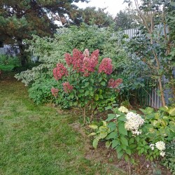 IMG_20250909_113437c8bbe34a4fa40f7f