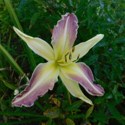 DSCN2195ea98a6fb301d9bf2