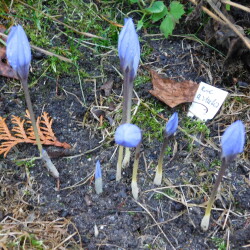 DSCN2741aa152c334071ad5f