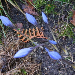 DSCN274278d912c0dd8b77ab