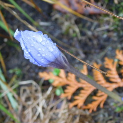 DSCN275544a150c0344f48c4