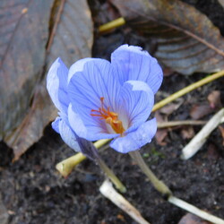 DSCN2809c9b3259f11771560