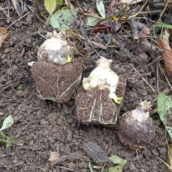 IMG_20251029_141900a4709215ce24f9d3