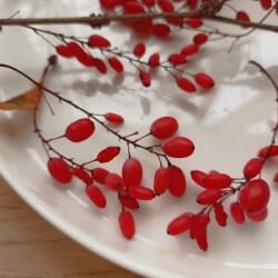 IMG_20251026_142626ee25f54988230022