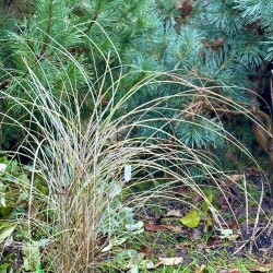 IMG_092037f1aa2e67f4eca5