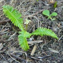 DSCN9390cc4d2cc1304f51c9